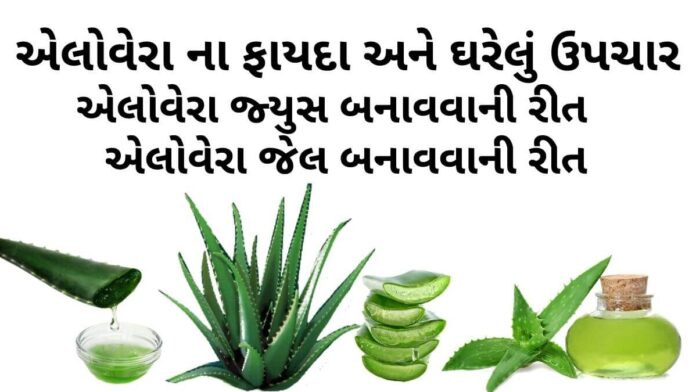 એલોવેરા ના ફાયદા - એલોવેરા જ્યુસ ના ફાયદા - એલોવેરા જ્યુસ બનાવવાની રીત- Aloe Vera Na Fayda in Gujarati- elovera fayda in Gujarati