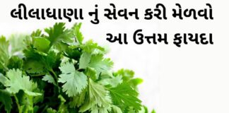 Health Benefits of Lila dhana - Lila dhana na fayda in Gujarati - લીલાધાણા ના ફાયદા - ધાણા ના ફાયદા