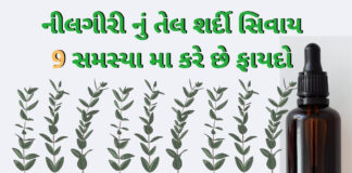 Nilgiri tel fayda in Gujarati - નીલગીરી ના તેલ ના ફાયદા - benefist of Nilgiri tel in Gujarati