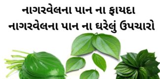 nagarvel na pan na fayda - nagarvel pan benefits in Gujarati - નાગરવેલ પાન ફાયદા
