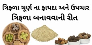 ત્રિફળા ના ફાયદા - ત્રિફળા ચૂર્ણ ના ફાયદા - ત્રિફળા બનાવવાની રીત - ત્રિફળા ચૂર્ણ નો ઉપયોગ - triphala churna banavani rit - Trifla churn benefits in Gujarati - Trifala churn for weight loss in Gujarati