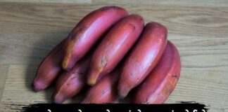 Lal kela na fayda in Gujarati - લાલ કેળા ના ફાયદા - Red Banana Health benefits in Gujarati