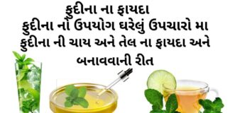 ફુદીના ના ફાયદા - ફુદીના ની ચાય ના ફાયદા - ફુદીના નો ઉપયોગ ઘરેલું ઉપચારો મા - ફુદીના ના તેલ ના ફાયદાઓ - fudina na fayda - pudina na fayda in Gujarati