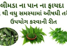 limda na pan na fayda in Gujarati - લીમડા ના પાન ના ફાયદા - neem leaves benefits in Gujarati – લીમડા ના પાન ના ઔષધીય પ્રયોગો – લીમડા ના પાન નો ઉપયોગ