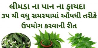 limda na pan na fayda in Gujarati - લીમડા ના પાન ના ફાયદા - neem leaves benefits in Gujarati – લીમડા ના પાન ના ઔષધીય પ્રયોગો – લીમડા ના પાન નો ઉપયોગ