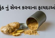 sunth na fayda in Gujarati - sunth na fayda in Gujarati language - સુંઠ ના ફાયદા - સુંઠ નું સેવન કરવાના ફાયદાઓ - સુંઠ નો ઉપયોગ – sounth no upyog