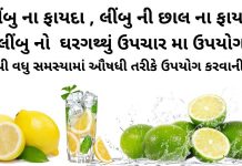 લીંબુ ના ફાયદા - લીંબુ નો ઉપયોગ - લીંબુ ના ઘરેલું ઉપચાર - Limbu na fayda in Gujarati - Limbu na fayda - lemon health benefits in Gujarati