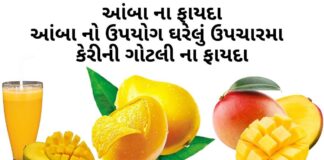 આંબા ના ફાયદા - આંબા નો ઉપયોગ ઘરેલું ઉપચારમા - કેરીની ગોટલી ના ફાયદા - Mango benefits in Gujarati
