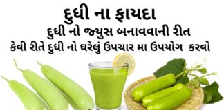 દુધી ના ફાયદા - દુધી નો જ્યુસ બનાવવાની રીત - દુધી નો ઘરેલું ઉપચાર મા ઉપયોગ - dudhi na fayda - dudhi health benefits in Gujarati
