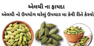 એલચી ના ફાયદા - એલચી નો ઉપયોગ - Elchi na fayda - Cardamom Benefits in Gujarati