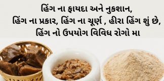 હિંગ નો ઉપયોગ - હિંગ ના ફાયદા - હિંગ ના પ્રકાર - હિંગ ના ચૂર્ણ - હીરા હિંગ શું છે - હિંગ ના નુકસાન - Hing na fayda - Hing na gharelu upay - Hing na gharelu nuskha - Hing na gharelu upchar