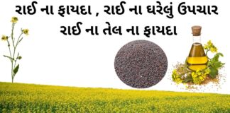 રાઈ ના ફાયદા - રાઈ ના ઘરેલું ઉપાય - રાઈનો ઉપયોગ - rai na fayda - mustard seed benefits in Gujarati - sarso tel na fayda - સરસવ તેલ ના ફાયદા