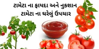 ટામેટા ના ફાયદા - ટામેટા વિશે માહિતી - ટામેટા ખાવાના ફાયદા - tomato benefits in Gujarati - tameta na fayda