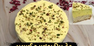 મલાઈ આઇસક્રીમ કેક બનાવવાની રીત - Malai Ice Cream Cake Recipe in Gujarati