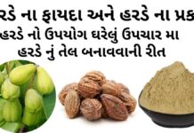 હરડે ના ફાયદા - હરડે ના પ્રકાર - હરડે નો ઉપયોગ ઘરેલું ઉપચાર મા - હરડેનું તેલ બનાવવાની રીત - harde na fayda - Harde benefits in Gujarati