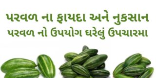 પરવળ ના ફાયદા - પરવળ ના નુકસાન - parwal na fayda - parwal benefits in Gujarati
