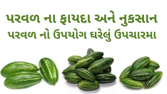 પરવળ ના ફાયદા - પરવળ ના નુકસાન - parwal na fayda - parwal benefits in Gujarati