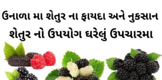 શેતુર ના ફાયદા અને નુકસાન - શેતુર નો ઉપયોગ ઘરેલું ઉપચારમા - shetur na fayda - mulberry benefits in Gujarati