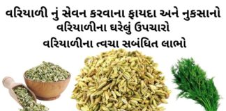 વરીયાળી ના ફાયદા - વરીયાળી ના નુકસાન - વરિયાળીનું શરબત બનાવવાની રીત - વરિયાળીના ઘરેલું ઉપચારો - variyali na fayda - Fennel seeds benefits in Gujarati