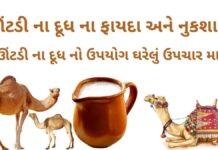 ઊંટડીના દૂધ ના ફાયદા અને નુકશાન - ઊંટ ના દૂધ નો ઉપયોગ ઘરેલું ઉપચાર મા -ઊંટડી નું દૂધ - camel milk benefits in Gujarati