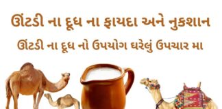 ઊંટડીના દૂધ ના ફાયદા અને નુકશાન - ઊંટ ના દૂધ નો ઉપયોગ ઘરેલું ઉપચાર મા -ઊંટડી નું દૂધ - camel milk benefits in Gujarati