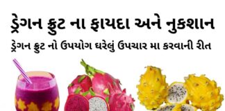 ડ્રેગન ફ્રુટ ના ફાયદા - ડ્રેગન ફ્રુટ ની માહિતી - ડ્રગન ફ્રુટ ના નુકશાન - ફ્રુટ નો ઉપયોગ ઘરેલું ઉપચારમા - dragon fruit na fayda in gujarati