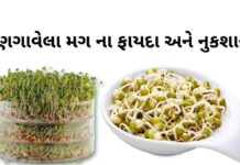 ફણગાવેલા મગ ના ફાયદા - Fangavela mag benefits in Gujarati - fangavela mag na fayda - મગ ફણગાવવાની રીત