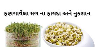 ફણગાવેલા મગ ના ફાયદા - Fangavela mag benefits in Gujarati - fangavela mag na fayda - મગ ફણગાવવાની રીત