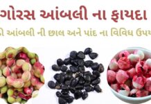 ગોરસ આંબલી ના ફાયદા - Goras ambli na fayda - મીઠી આંબલી ના ફાયદા