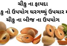 ચીકુ ના ફાયદા - ચીકુ નો ઉપયોગ ઘરગથ્થું ઉપચાર મા - ચીકુ ના બીજ ના ઉપયોગ - chiku na fayda - sapodilla benefits in Gujarati