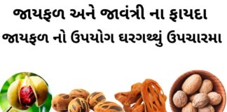 જાયફળ ના ફાયદા - જાયફળ ખાવાના ફાયદા - જાયફળ અને જાવંત્રી ના ફાયદા - જાયફળ નો ઉપયોગ - jayfal na fayda - Health benefits of nutmeg in Gujarati