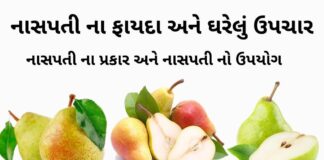 નાસપતી ના ફાયદા - નાસપતી ના ઘરેલું ઉપચાર - નાસપતી ના જ્યુસ ના ફાયદા - naspati na fayda in gujarati - Pear fruit benefits in Gujarati