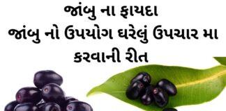 જાંબુ ના ફાયદા - જાંબુ ખાવાના ફાયદા - jambu na fayda - jamun benefits in gujarati