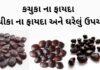 કચુકા ના ફાયદા - કચીકા ના ફાયદા - Aambli na kachuka na fayda - kachika na fayda in Gujarati