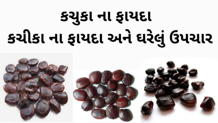 કચુકા ના ફાયદા - કચીકા ના ફાયદા - Aambli na kachuka na fayda - kachika na fayda in Gujarati