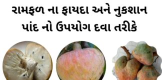 રામફળ ના ફાયદા - રામફળ ના નુકશાન - ramfal na fayda in Gujarati