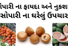 સોપારી ખાવાના ફાયદા - સોપારી ના ફાયદા - સોપારી ના નુકશાન - સોપારી ના ઘરેલું ઉપચાર - sopari na fayda - BETEL NUT benefits in Gujarati