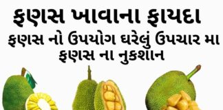 ફણસ ખાવાના ફાયદા - ફણસ ના ફાયદા - ફણસ ના નુકશાન - fanas na fayda - jackfruit benefits in Gujarati