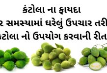 કંટોલા ના ફાયદા - કંકોડા ના ફાયદા અને ઘરેલું ઉપચાર - kantola na fayda - spiny gourd benefits in Gujarati