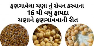 ફણગાવેલા ચણા ના ફાયદા - ફણગાવેલા ચણા બનાવવાની રીત - Fangavela chana na fayda