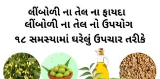 લીંબોળીનું તેલ - લીંબોળી ના તેલ ના ફાયદા - લીંબોળી ના તેલ ના ઘરેલું ઉપચાર - limbodi na tel no upyog - Limbodi na tel na fayda