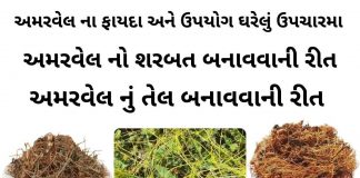 અમરવેલ ના ફાયદા - અમરવેલ નો ઉપયોગ - અમરવેલ નો શરબત બનાવવાની રીત - અમરવેલ નું તેલ બનાવવાની રીત - amar vel na faida - amar vel na fayda in Gujarati - amarvel no upyog