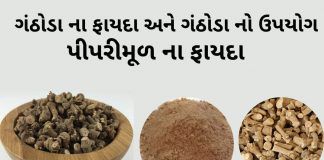 ગંઠોડા ના ફાયદા - પીપરીમૂળ ના ફાયદા - ગંઠોડા નો ઉપયોગ - Piper Root benefits in Gujarati - ganthoda na fayda