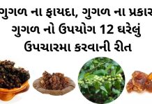 ગુગળ ના ફાયદા - ગુગળ ના પ્રકાર - ગુગળ નો ઉપયોગ ઘરેલું ઉપચારમા - guggal na fayda in gujarati - guggal no upyog