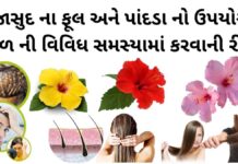 જાસુદ ના ફૂલ ના ફાયદા વાળ માટે - જાસુદ ના ફૂલ અને પાંદડા નો ઉપયોગ – જાસુદ ના ફૂલ નો ઉપયોગ - jasud na phool na fayda
