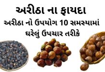 અરીઠા ના ફાયદા - અરીઠા નો ઉપયોગ - aritha na fayda - aritha no upyog