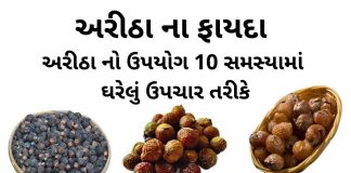 અરીઠા ના ફાયદા - અરીઠા નો ઉપયોગ - aritha na fayda - aritha no upyog