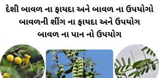 દેશી બાવળ ના ફાયદા - બાવળ ના ફાયદા - બાવળ ના ઉપયોગો - બાવળની શીંગ નો ઉપયોગ - બાવળ ના પાન વિશે માહિતી