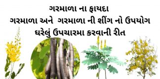 ગરમાળા ના ફાયદા - ગરમાળા ની શીંગ નો ઉપયોગ - ગરમાળા નો ઉપયોગ - ગરમાળા ની સિંગ - garmala ni sing uses in gujarati - amaltas benefits in gujarati - garmala na fayda