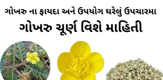 ગોખરુ ના ફાયદા - ગોખરુ નો ઉપયોગ - gokhru na fayda - bindii benefits in gujarati